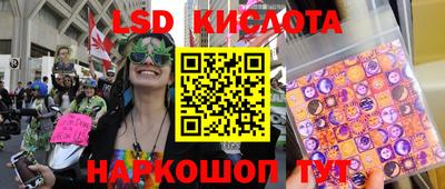 прущие грибы Нальчик
