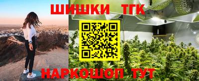 прущие грибы Нальчик