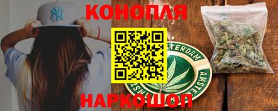 прущие грибы Нальчик