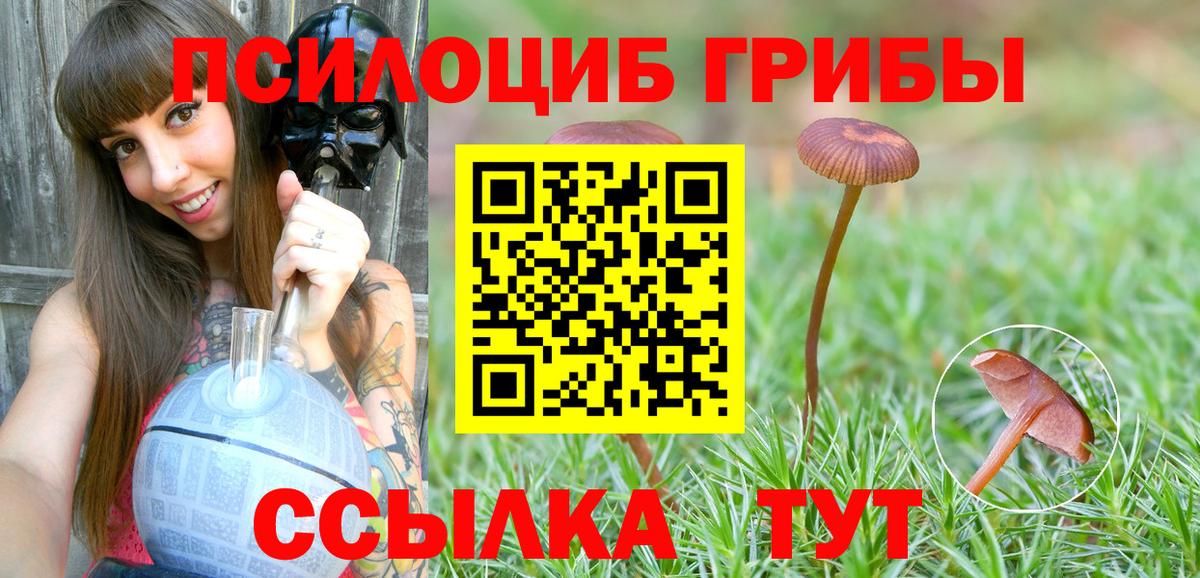 Галлюциногенные грибы MAGIC MUSHROOMS  Вход с VPN  Галлюциногенные грибы MAGIC MUSHROOMS  Урус-Мартан 