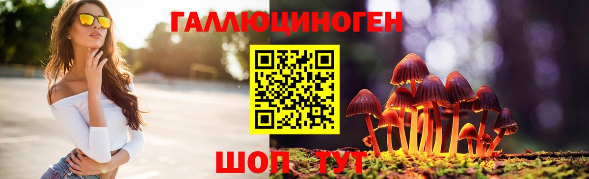 Галлюциногенные грибы мицелий Урус-Мартан